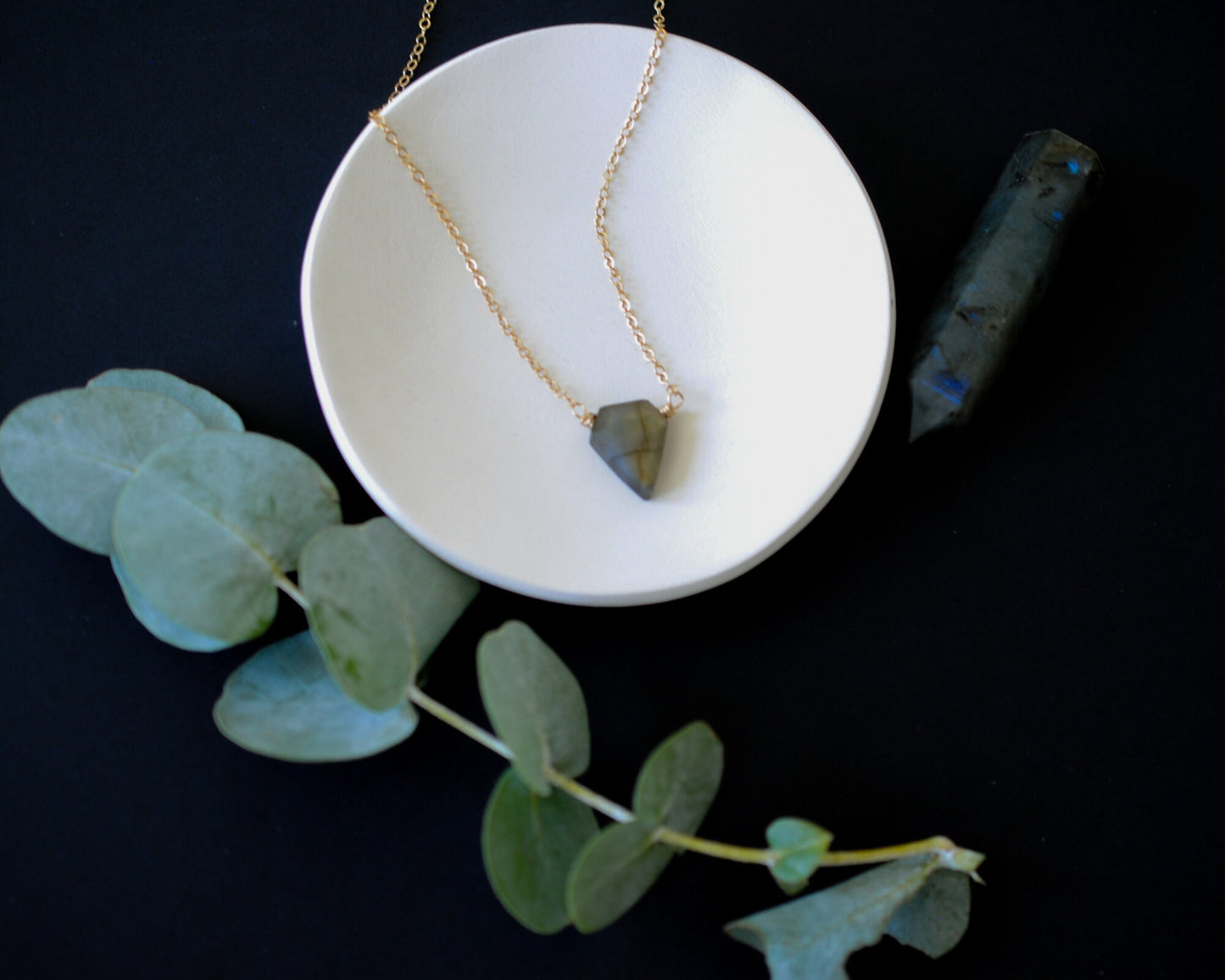 Protection Shield Necklace